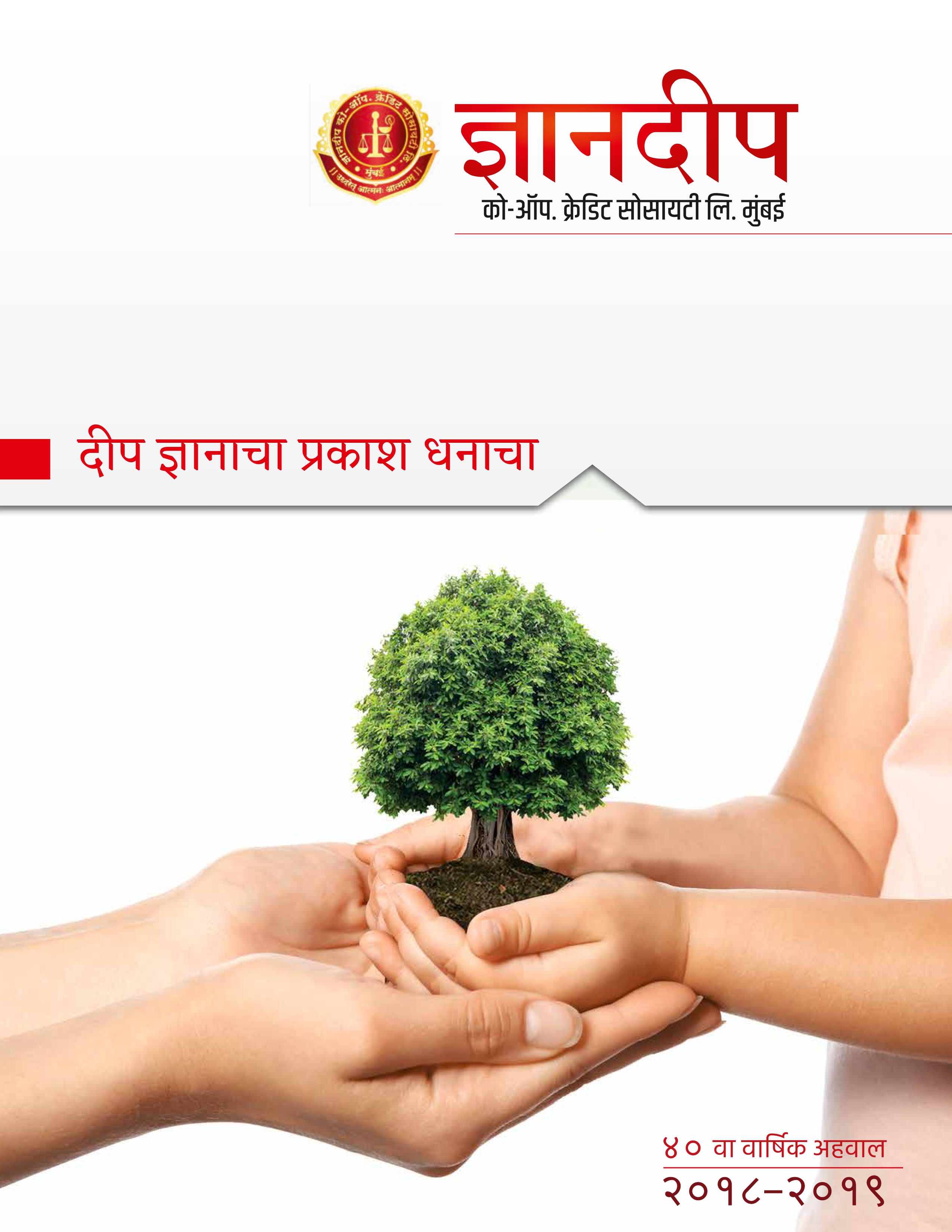Annual Report 2019